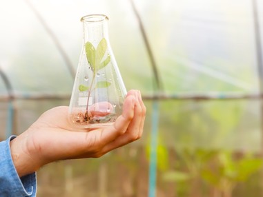 Corvinus siker a Maribori Egyetem által szervezett CEEPUS Green Supply Chain Hackathonon